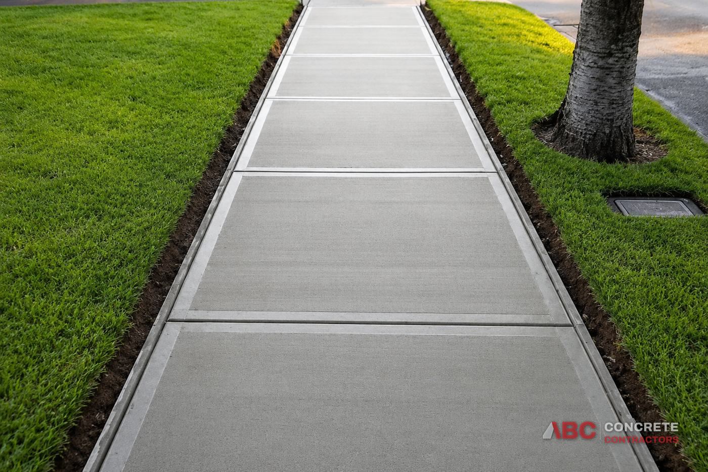 Poured concrete sidewalk with clean control joints running between two lawns
